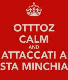 otttoz-calm-and-attaccati-a-sta-minchia