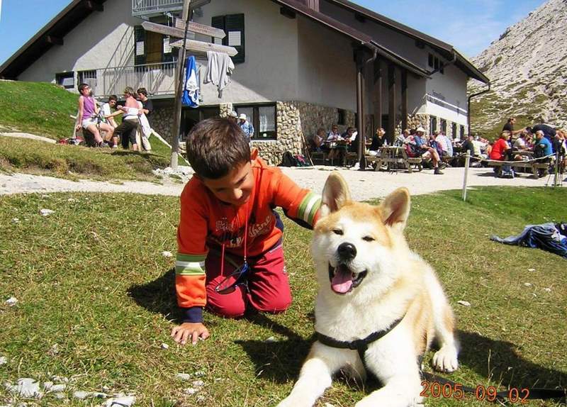 Il grande con un cane stupendo al rifugio Puez