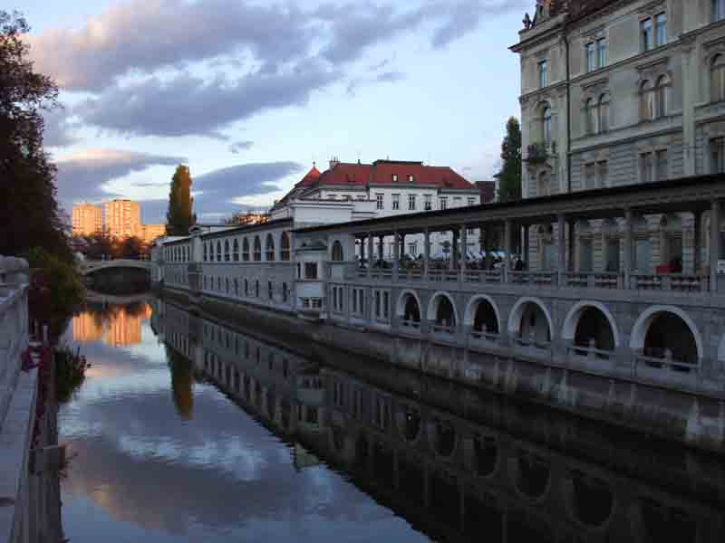 lubiana