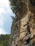 6_Albenga_Colosseo