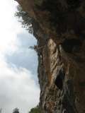 7_Albenga_Colosseo