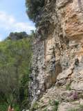 11_Albenga_Colosseo