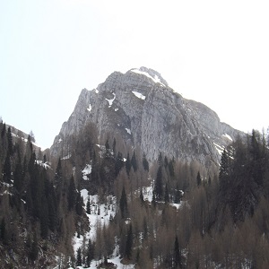 Cima Palantina-particolare