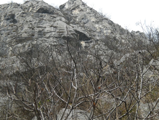 sopra sosta