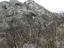sopra sosta