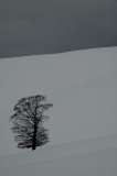 Inverno in Lessinia