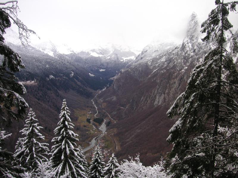 Timau da casera Pramosio Alpi Carniche