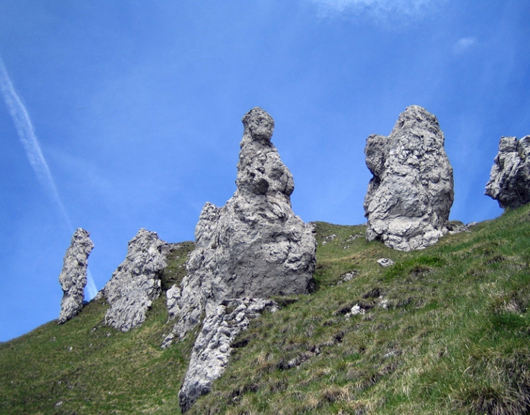 Particolari pennacchi