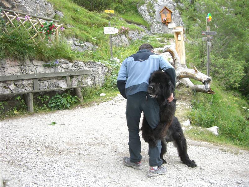 accoglienza al rifugio falier 2