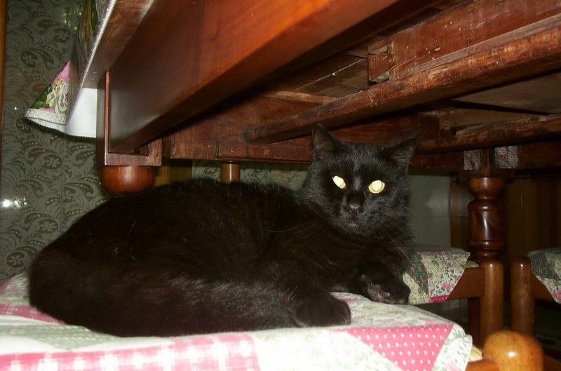 Nerone