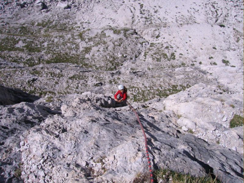 sybilla placche iniziali