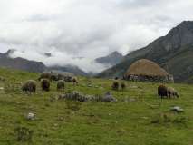 Cordillera Huayhuash 2007