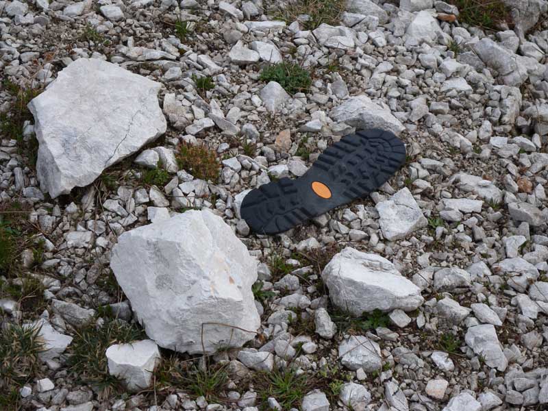 scarpa