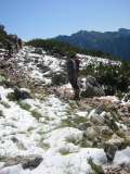 Neve Fesca