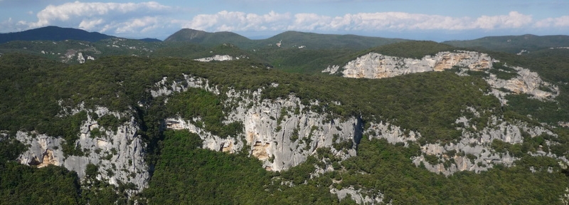 Cartolina