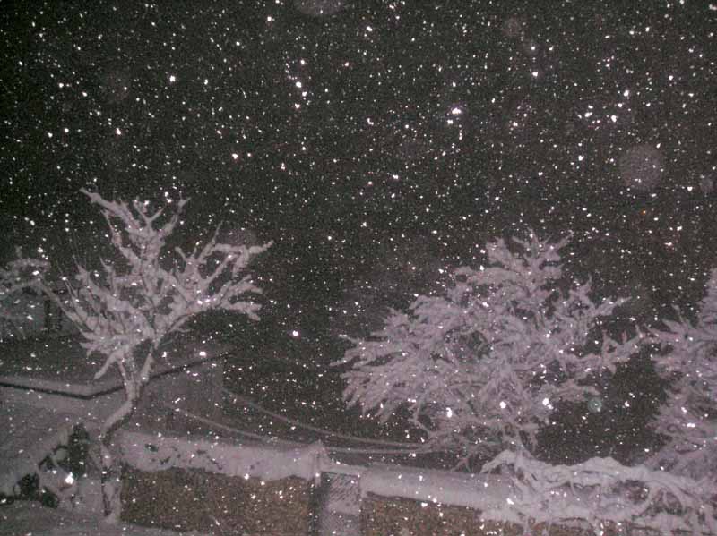 Neve 26 novembre