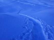 neve2