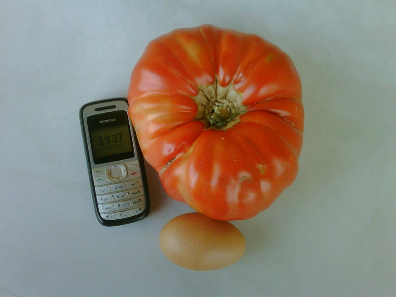 pomodoro